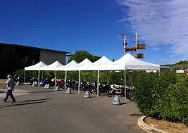 categorie pagode.webp