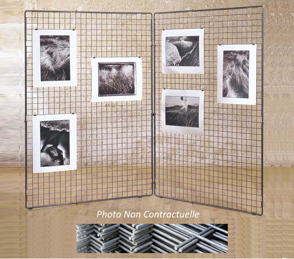 Grille d'Exposition (2.00m x 1.00m)