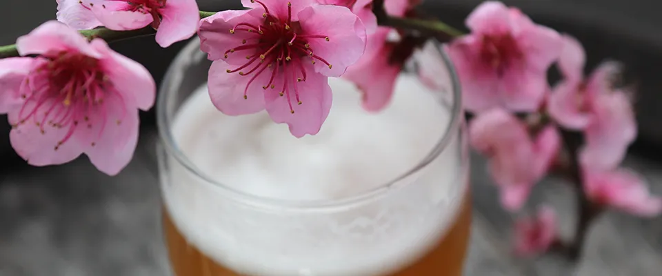 [..] Biere Blanche Printanière