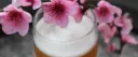 Biere Blanche Printanière