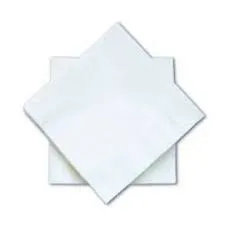 Serviette Blanche 20x20