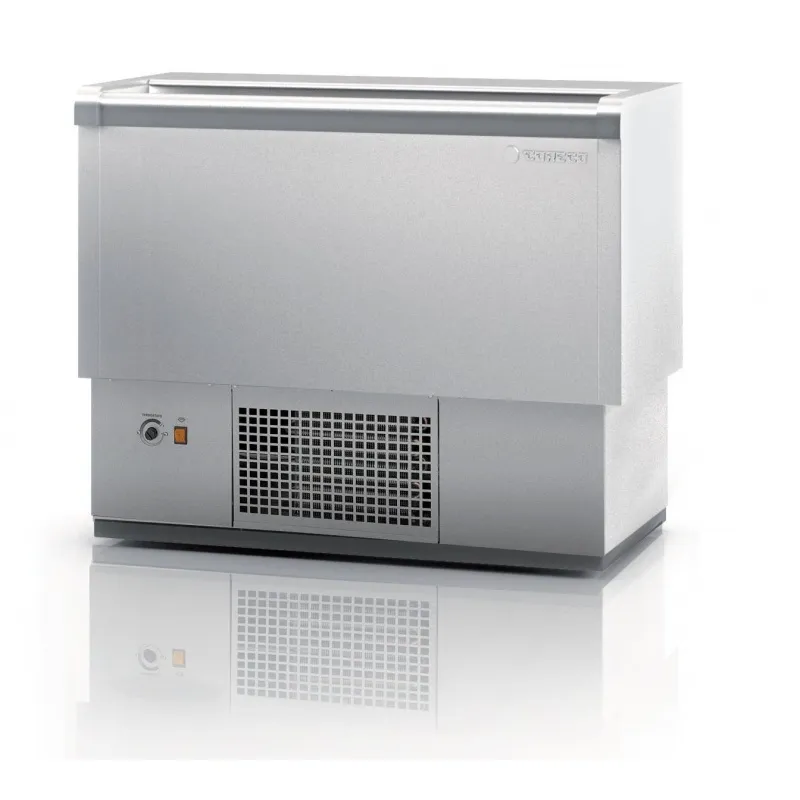 Banque Frigo 2 Tiroirs